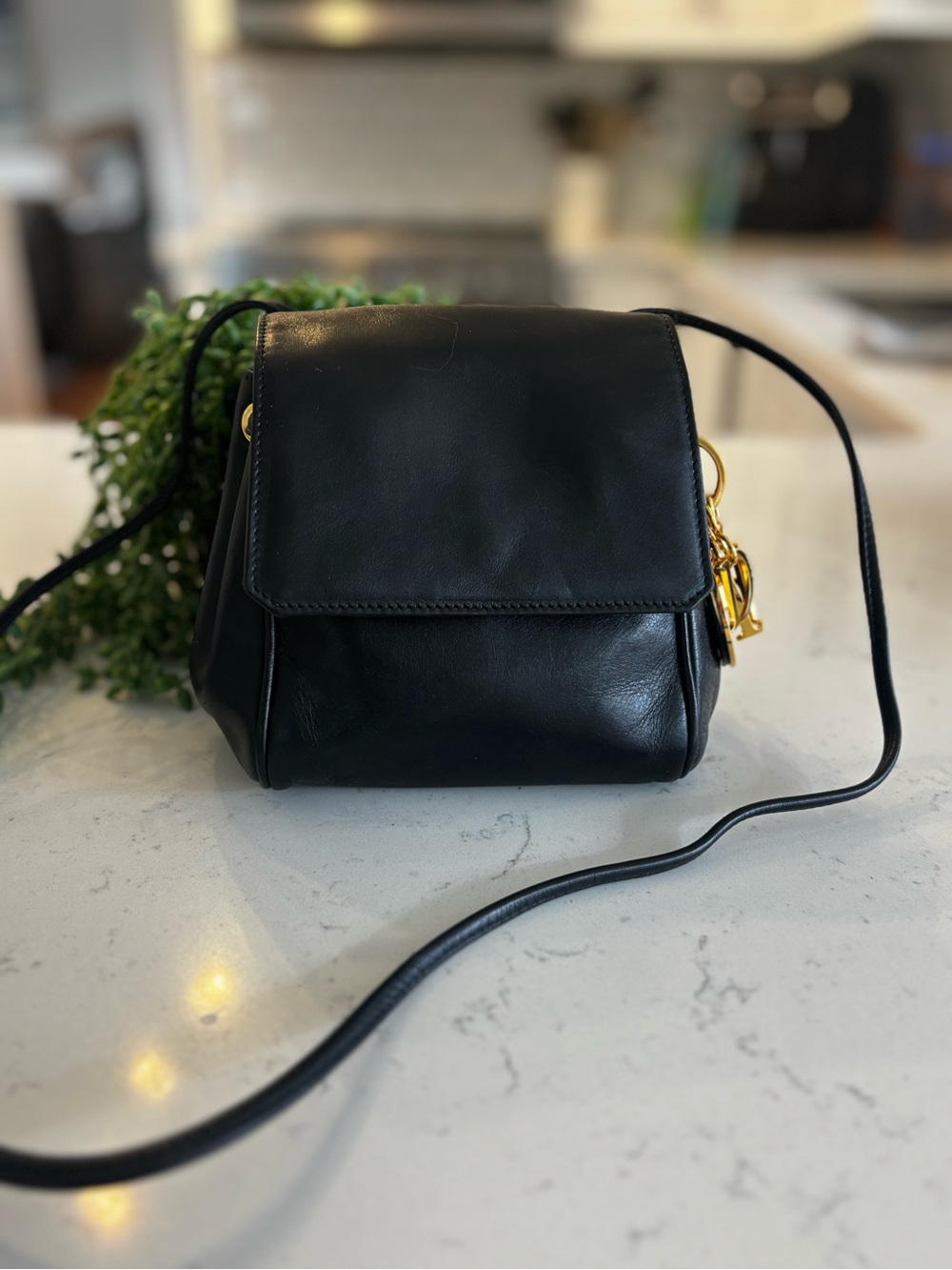 Dior Black calf skin Leather Crossbody Bag with Gold Hardware and charm